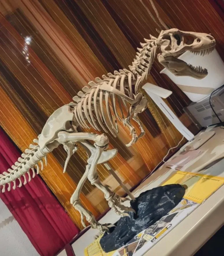 A large 3D printed dinosaur skeleton standing on a studio table